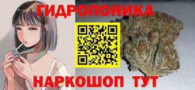 шишки Заводоуковск