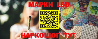 шишки Заводоуковск