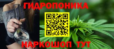 шишки Заводоуковск