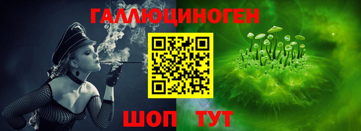 Галлюциногенные грибы Psilocybine cubensis  Вход с VPN  Нижнекамск 